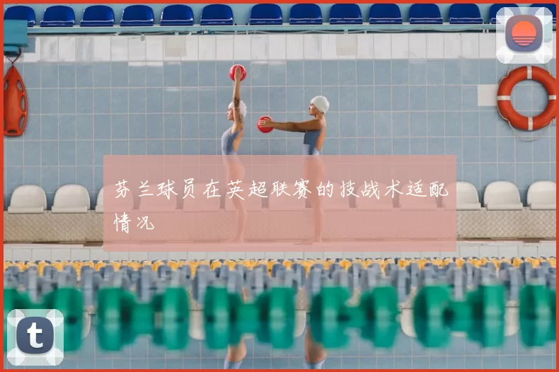 芬兰球员在英超联赛的技战术适配情况