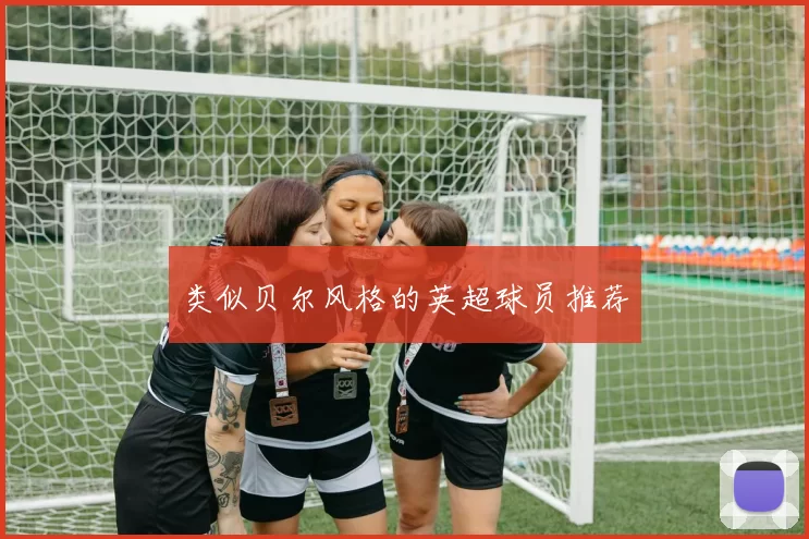 类似贝尔风格的英超球员推荐