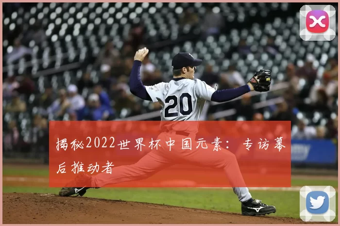 揭秘2022世界杯中国元素:专访幕后推动者