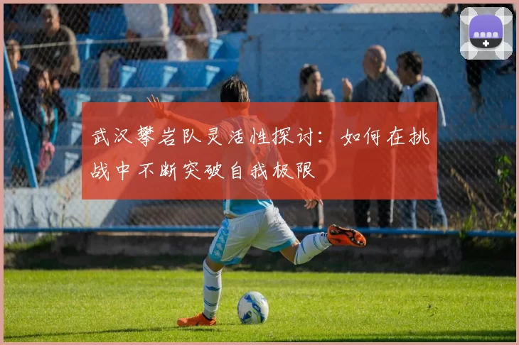 武汉攀岩队灵活性探讨：如何在挑战中不断突破自我极限