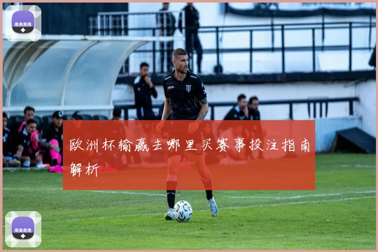 欧洲杯输赢去哪里买赛事投注指南解析