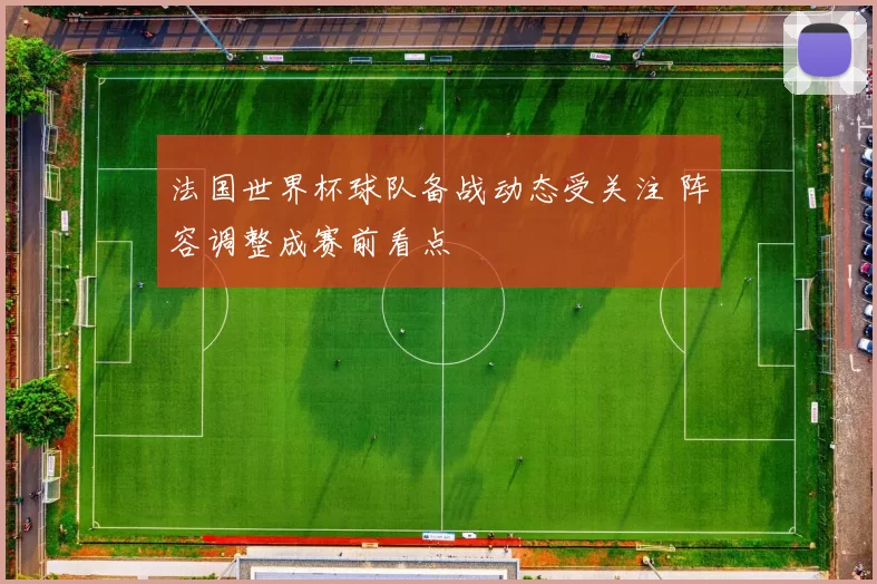 法国世界杯球队备战动态受关注 阵容调整成赛前看点
