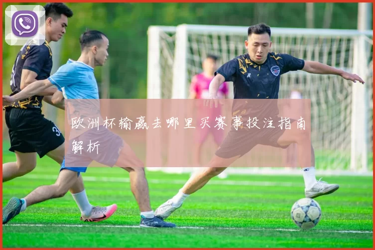 欧洲杯输赢去哪里买赛事投注指南解析