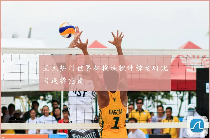 五大热门世界杯投注软件综合对比与选择指南