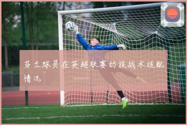 芬兰球员在英超联赛的技战术适配情况