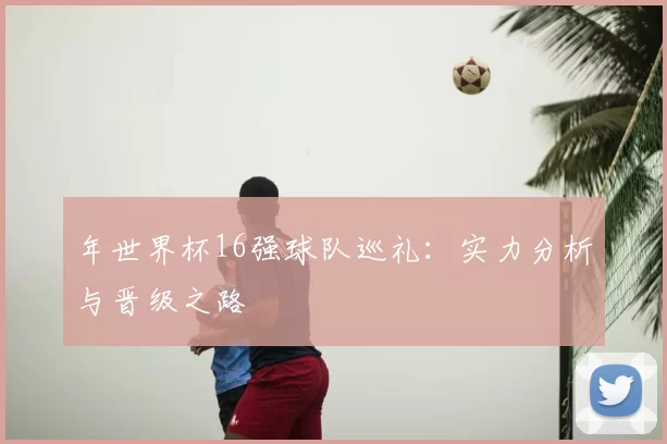 年世界杯16强球队巡礼:实力分析与晋级之路