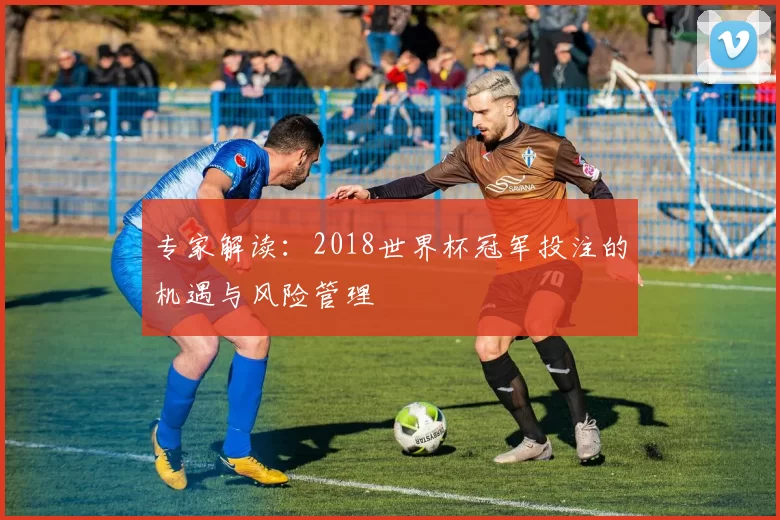 专家解读：2018世界杯冠军投注的机遇与风险管理