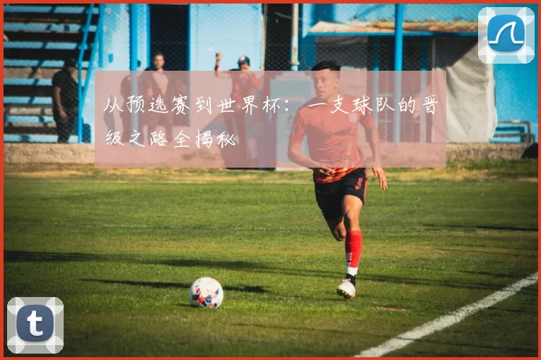 从预选赛到世界杯:一支球队的晋级之路全揭秘